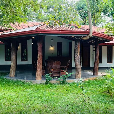 Kingfisher Resort & Retreat Sigiriya Buitenkant foto